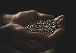 give about